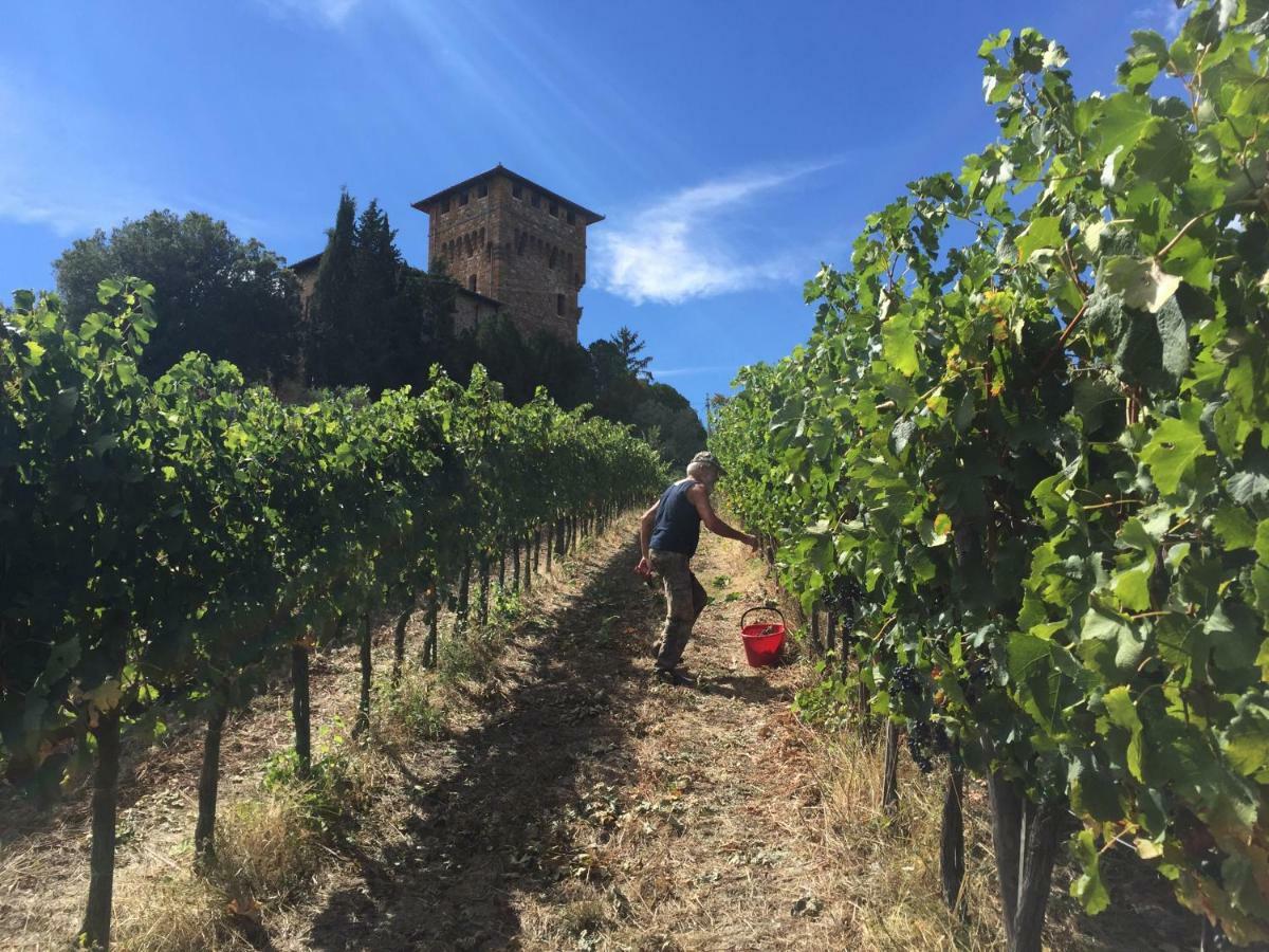 Castello Di Cafaggio *
